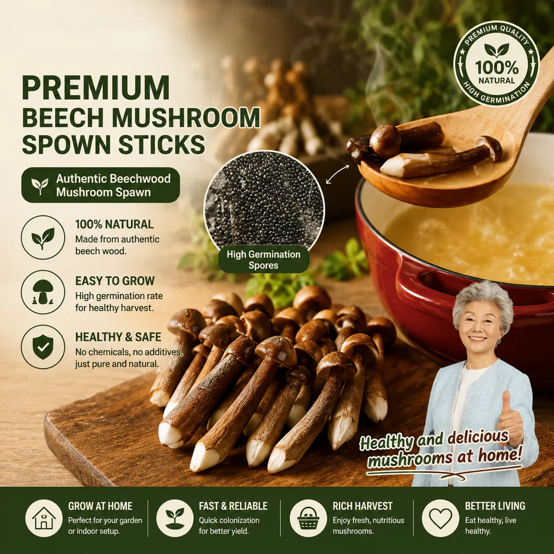 Organic Mushroom Growing Kit