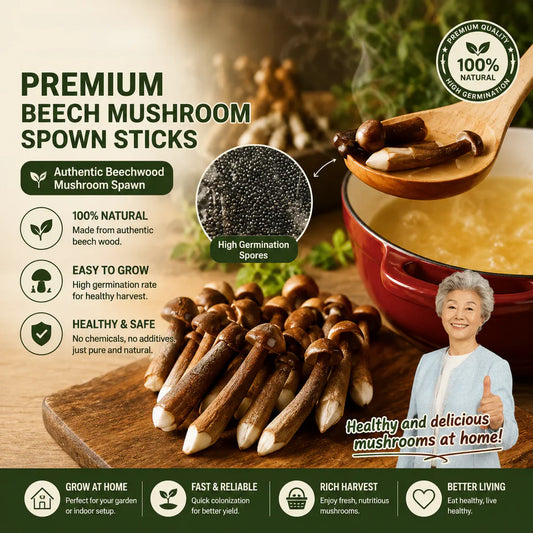 Organic Mushroom Growing Kit